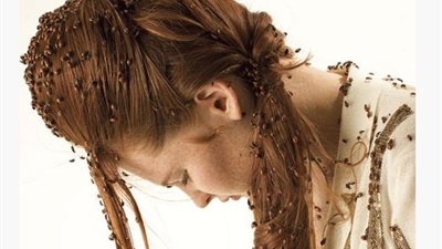 تفسير حلم القمل في المنام وعلاقته بالارتقاء في المنصب