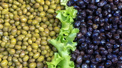 تفسير حلم الزيتون في المنام وعلاقته بخصام الأقارب