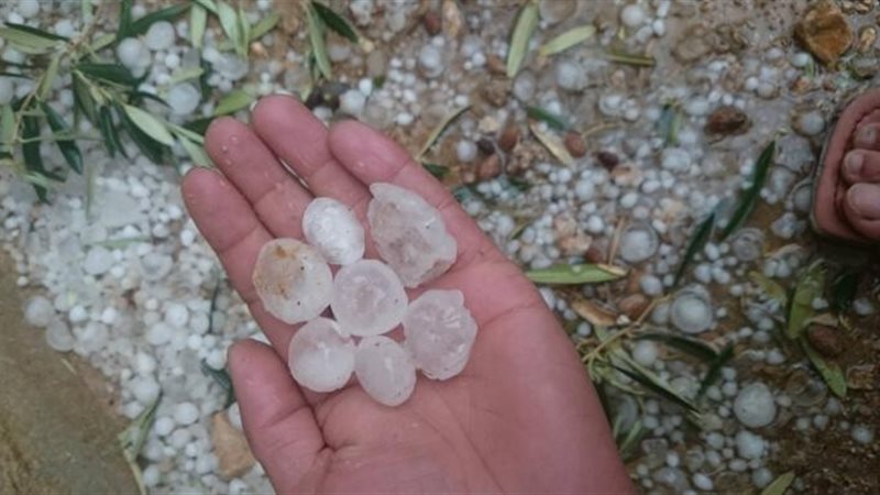 هير نيوز