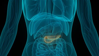 ثلث الناس يتجاهلها.. 4 أعراض مميتة لسرطان البنكرياس
