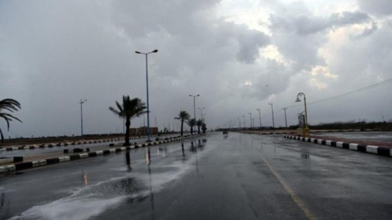 هير نيوز