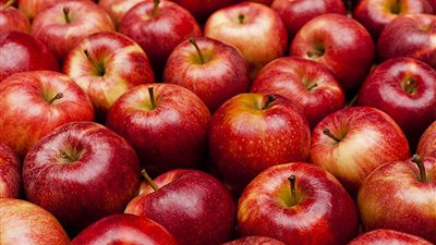 تفسير رؤيا التفاح في المنام وعلاقتها بتحقيق أمنية طال انتظارها