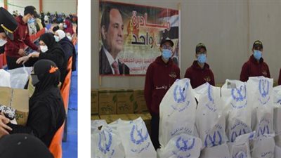 «كلنا واحد».. قوافل إنسانية في الشرقية والإسكندرية  