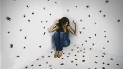 تفسير رؤية الحشرات السوداء في المنام وعلاقتها بالنميمة وفشل العلاقات العاطفية