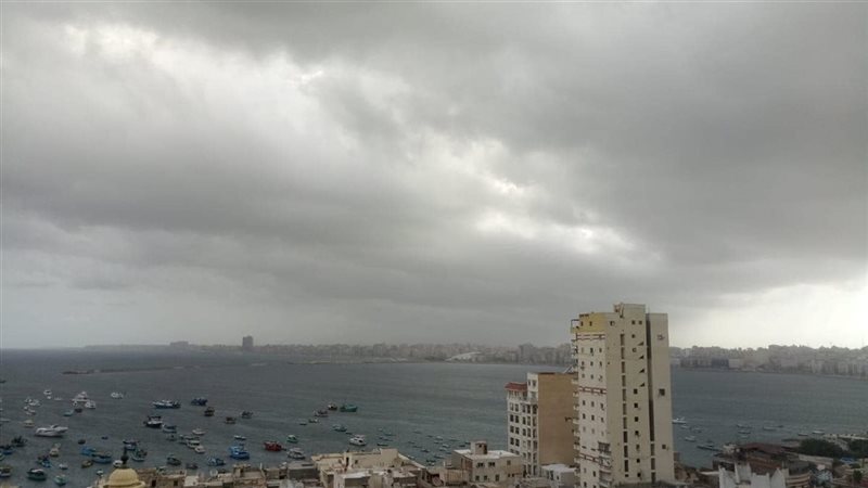 هير نيوز
