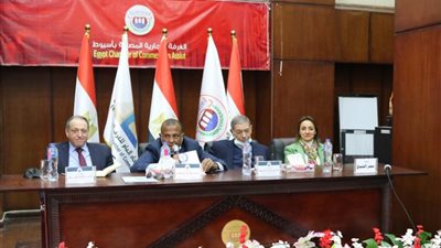 الشعبة العامة للاقتصاد الرقمي تعقد ورشة عمل بالغرفة التجارية بأسيوط للشركات الصغيرة والمتوسطة 