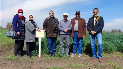 «الزراعة» تعلن حصاد أنشطة معهد أمراض النباتات  