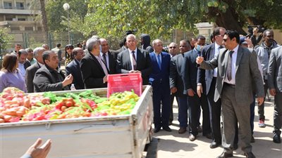 تنفيذًا لتوجيهات الرئيس.. «الزراعة» توفر السلع والمنتجات الغذائية بأسعار مخفضة للمواطنين