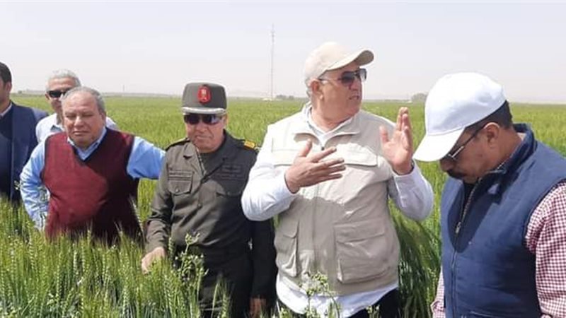 هير نيوز