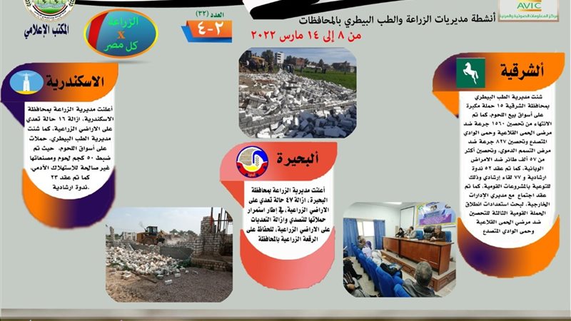 هير نيوز