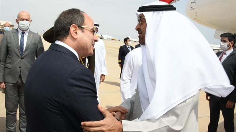 هير نيوز