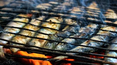 إذا رأيتِ السمك المشوي في المنام احذري من هؤلاء الأشخاص.. «تفسير ابن سيرين»