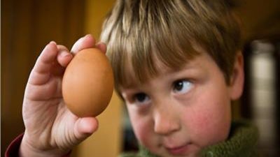 البيض في رمضان يحافظ على طفلك من السمنة.. اعرفي السر