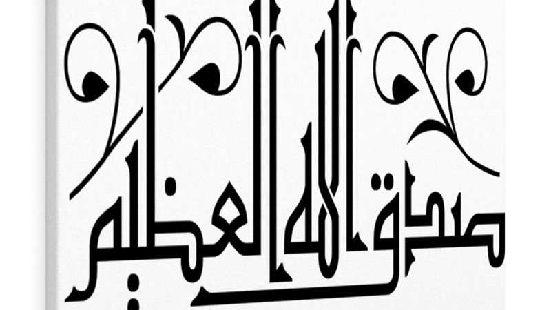 هير نيوز