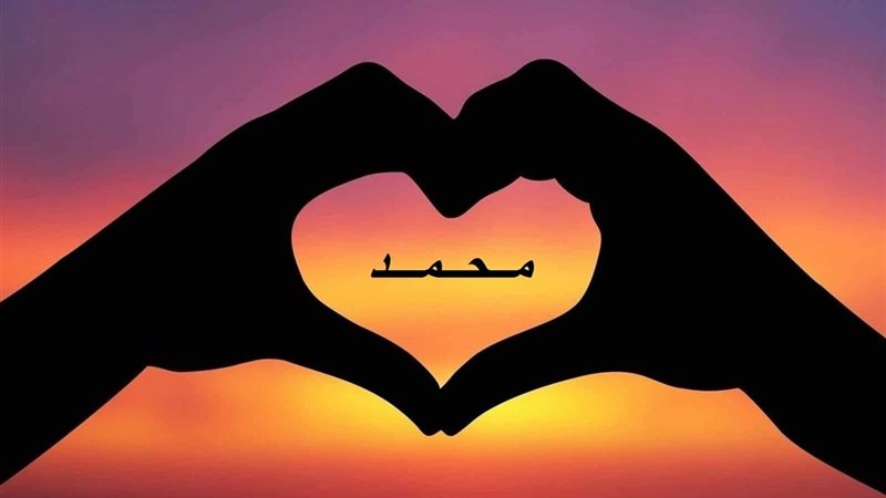 هير نيوز