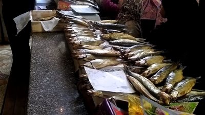 أسعار الرنجة والفسيخ وجميع أنواع الأسماك في شم النسيم اليوم