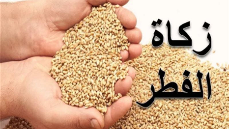 هير نيوز