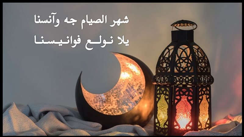 هير نيوز