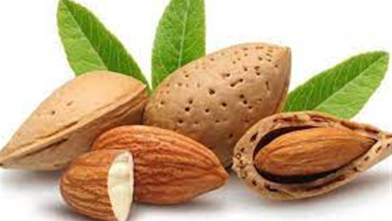 هير نيوز