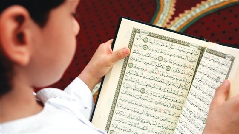 هير نيوز