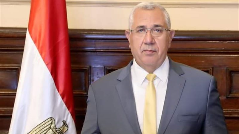 هير نيوز