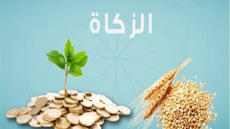 هير نيوز