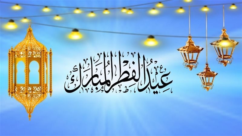 هير نيوز