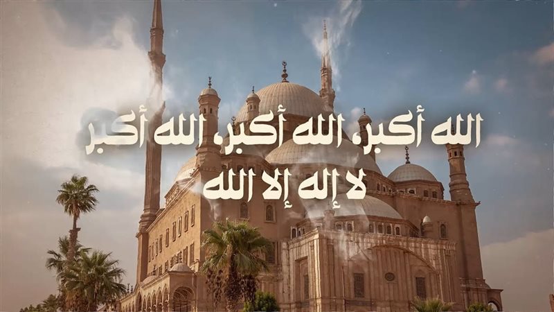 هير نيوز