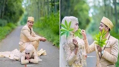 جلسة تصوير عرسان تُثير سخرية رواد «الفيسبوك» والتعليقات: «مستوحاة من القرود!»