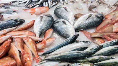 أسعار الأسماك اليوم الأحد في الأسواق.. الفيليه من 30 إلى 130 جنيهًا