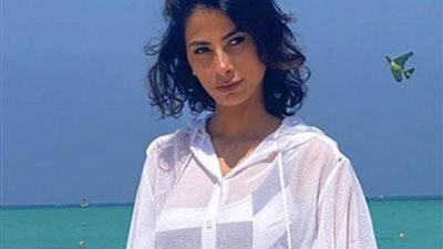 نشرة أهل الفن.. انتقاد 