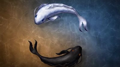 «الحوت مغناطيس للمعجزات» تأثير القمر الدموي العملاق على الأبراج الهوائية