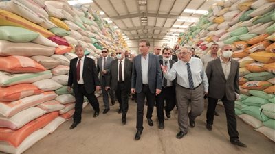 توريد 367 ألف طن من القمح لشون البنك الزراعي المصري خلال شهر