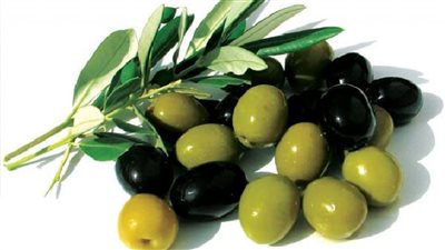 رؤيا الزيتون الأسود في المنام أفضل من الأخضر.. تفسير الأحلام لابن سيرين