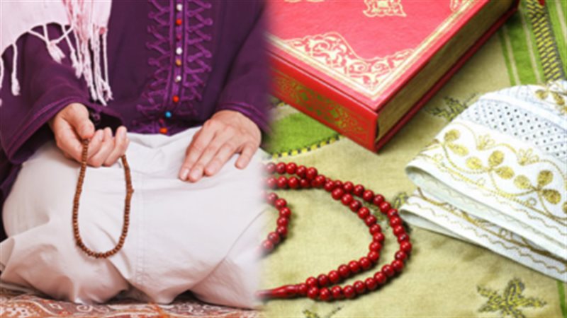 هير نيوز