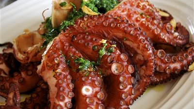 أكل الأخطبوط البحري حلال أم حرام؟ «الإفتاء» تُجيب