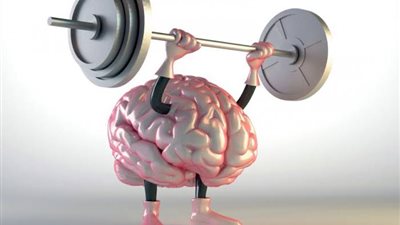 لطلاب الثانوية العامة.. أطعمة تقوي الذاكرة احرص على تناولها يوميًا