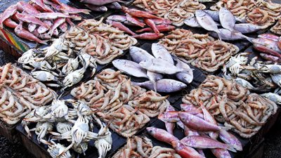 أسعار الأسماك في الأسواق اليوم الاثنين.. كابوريا بـ47 جنيها