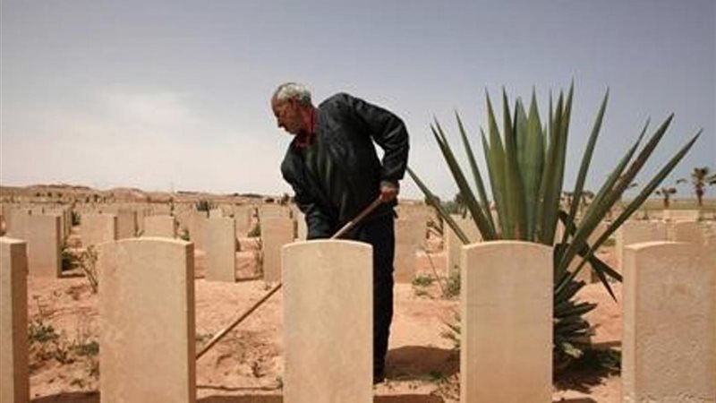 هير نيوز