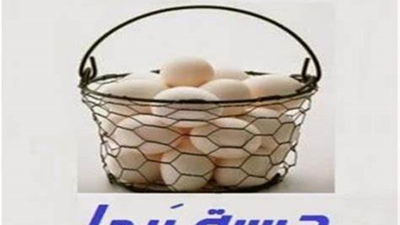 هير نيوز