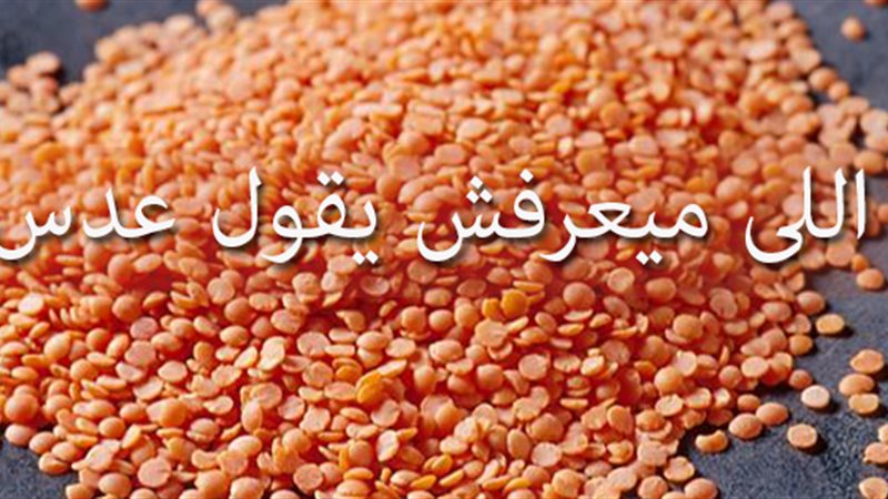 هير نيوز