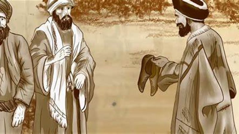 هير نيوز