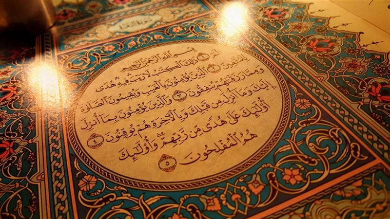 هير نيوز
