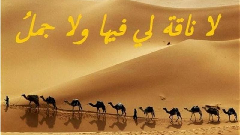 هير نيوز