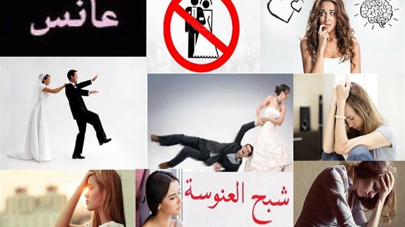 هير نيوز