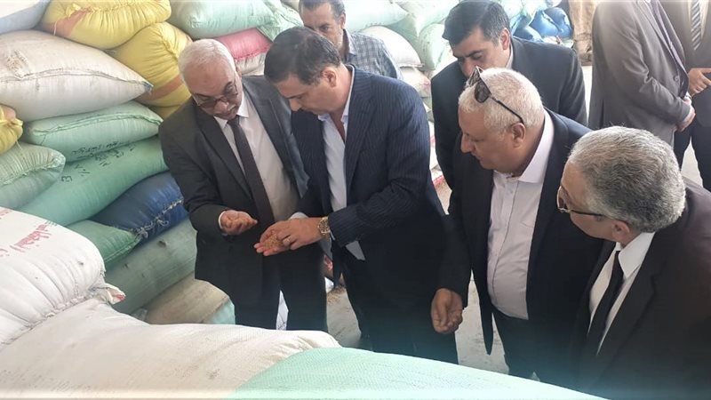هير نيوز