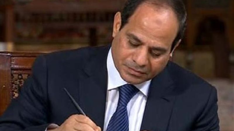 هير نيوز