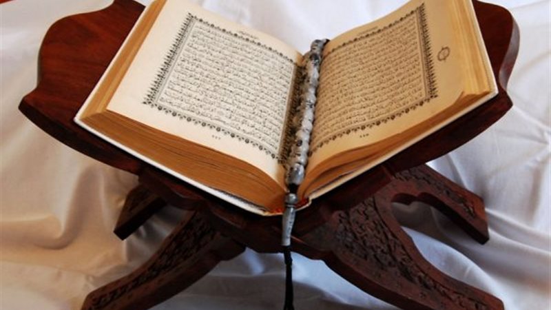 هير نيوز