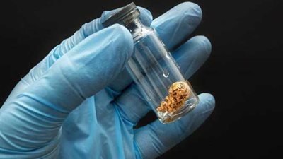 أزهري: حفظ نطفة الرجل بعد وفاته جائز شرعا.. بشروط