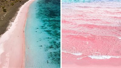 حلم أم حقيقة؟.. أجمل شواطئ العالم بجزر البهاما لون رماله وردي| صور